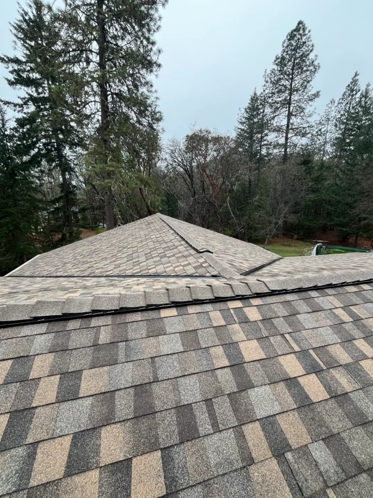 Architectural shingle roof surrounded by mature trees