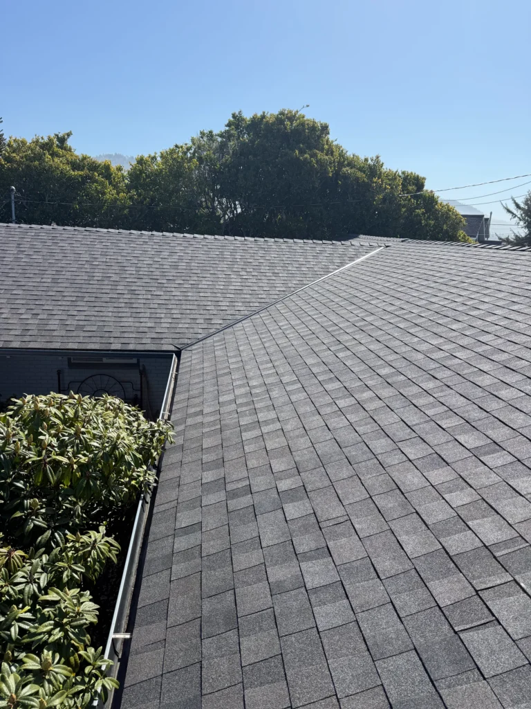 Architectural shingle roof valley beside leafy landscaping