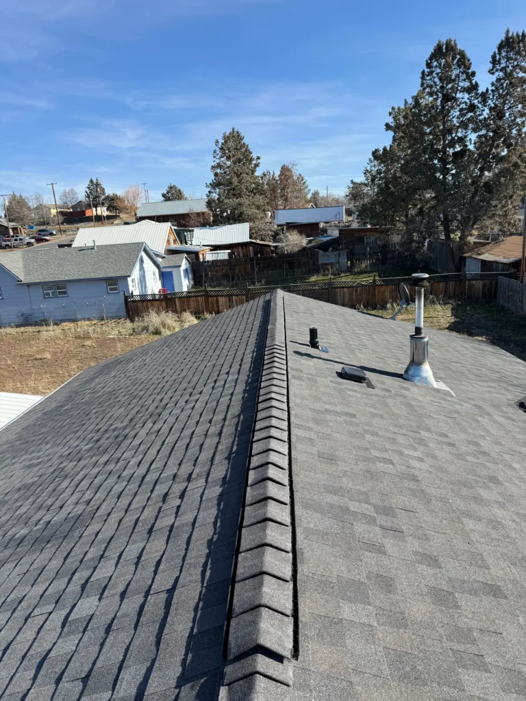 Shingle roof ridge with vents and metal chimney