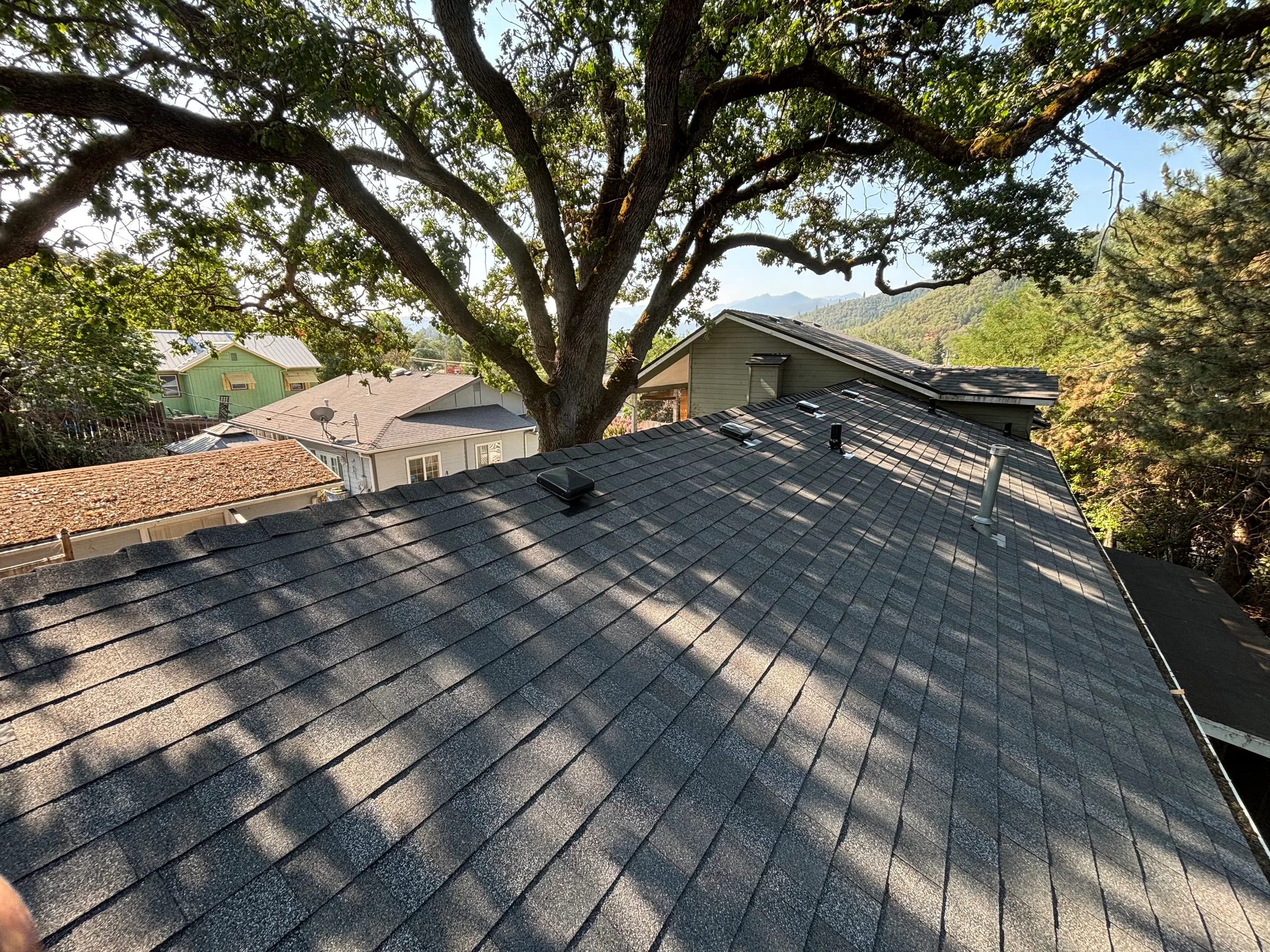 Finished roof beneath mature trees